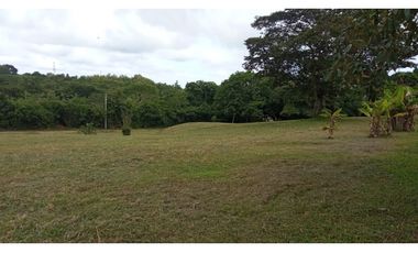 VENDO LOTES EN EL HIGO DE SAN CARLOS