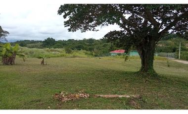 VENDO LOTES EN EL HIGO DE SAN CARLOS