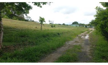 VENDO LOTES EN EL HIGO DE SAN CARLOS