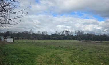 Oportunidad de inversión