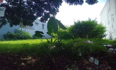 Sangat Cepat! Kavling Istana Sukajadi Eksklusif