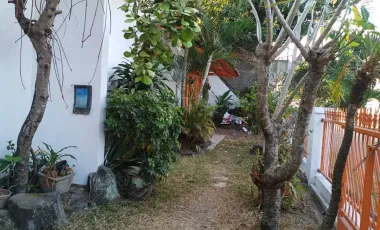 Rumah Makam haji Sukoharjo luas pengen cepat laku