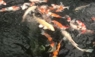 Atlas Antapani Bandung Kota, Lux, Kawasan Elit, Jalan Lebar, Murah