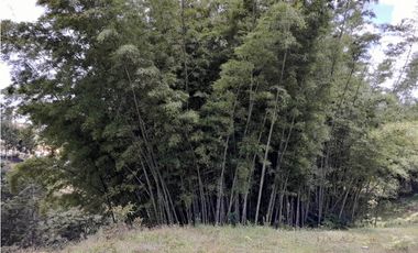 VENTA FINCA DOBLE PROPOSITO VEREDA EL CASCAJO MARINILLA.