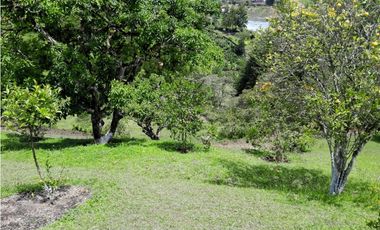VENTA FINCA DOBLE PROPOSITO VEREDA EL CASCAJO MARINILLA.