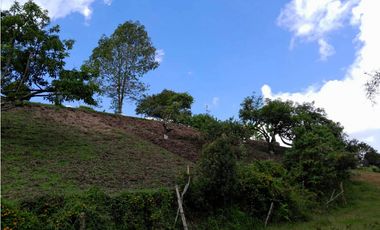 VENTA FINCA DOBLE PROPOSITO VEREDA EL CASCAJO MARINILLA.