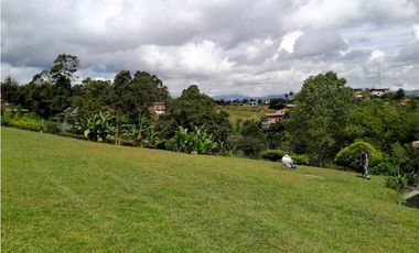 VENTA FINCA DOBLE PROPOSITO VEREDA EL CASCAJO MARINILLA.