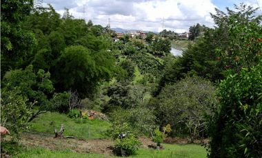 VENTA FINCA DOBLE PROPOSITO VEREDA EL CASCAJO MARINILLA.