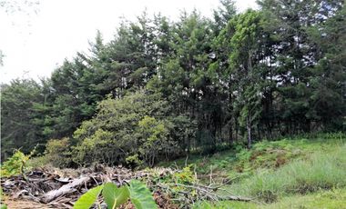 VENTA FINCA DOBLE PROPOSITO VEREDA EL CASCAJO MARINILLA.