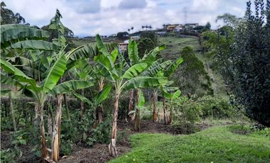 VENTA FINCA DOBLE PROPOSITO VEREDA EL CASCAJO MARINILLA.