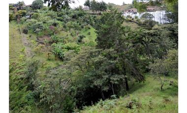 VENTA FINCA DOBLE PROPOSITO VEREDA EL CASCAJO MARINILLA.