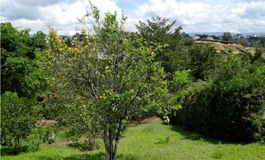 VENTA FINCA DOBLE PROPOSITO VEREDA EL CASCAJO MARINILLA.