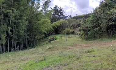 VENTA FINCA DOBLE PROPOSITO VEREDA EL CASCAJO MARINILLA.