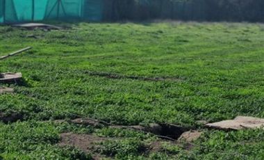 Parcela en Venta en SANTA ELENA / CHICUREO NORTE