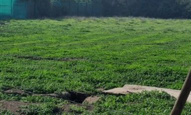 Parcela en Venta en SANTA ELENA / CHICUREO NORTE