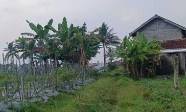 Jual Cepat Tanah SHMS di Sedayu Muntilan cocok u/perum,cluster