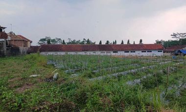 Jual Cepat Tanah SHMS di Sedayu Muntilan cocok u/perum,cluster