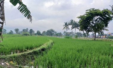 Jual Cepat Tanah SHMS di Sedayu Muntilan cocok u/perum,cluster