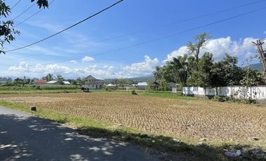 Tanah di Jl Bangsal Baru (Jln utama menuju Pelabuhan Bangsal Pemenang)