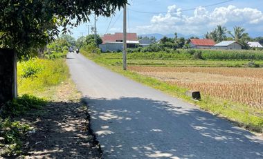 Tanah di Jl Bangsal Baru (Jln utama menuju Pelabuhan Bangsal Pemenang)