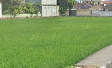 Tanah 3,6 Hektar Dkt RSUP Mataram Lombok Nusa Tenggara Barat