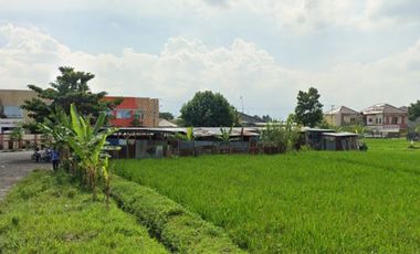 Tanah 3,6 Hektar Dkt RSUP Mataram Lombok Nusa Tenggara Barat