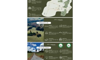 VENDE Proyecto de parcelas 15 minutos de Curacautín