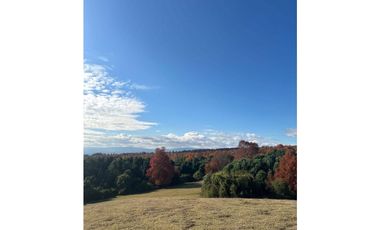 VENDE Proyecto de parcelas 15 minutos de Curacautín