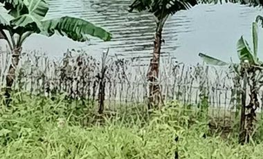 JUAL KAVLING VIEW DANAU DI KOTA BARU PARAHYANGAN PURBASARI