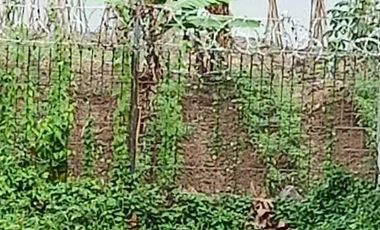 JUAL KAVLING VIEW DANAU DI KOTA BARU PARAHYANGAN PURBASARI