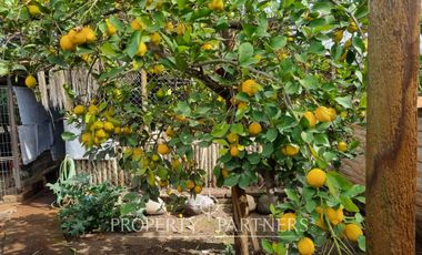 Excelente casa en consolidado condominio de la comuna