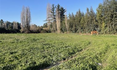 Agrícola en Venta en ISLA DE YAQUIL SIN NUMERO SECTOR LA FINCA