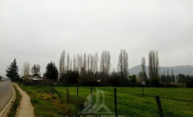 Agrícola en Venta en ISLA DE YAQUIL SIN NUMERO SECTOR LA FINCA