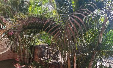 Departamento en Renta en Club de Tenis Burgos