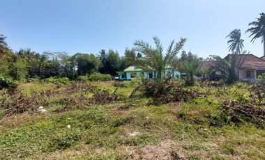 Tanah Strategis Murah di Purworejo Dekat Pelabuhan Adikarto