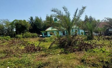 Tanah Strategis Murah di Purworejo Dekat Pelabuhan Adikarto