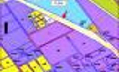 Excelente Fraccion de 20.142 m2 sobre Panam. km.52.5 - Loma Verde - Industrial