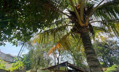 Jual atau Sewa Gudang Atau Bengkel atau tempat usaha Campaka Purwakart