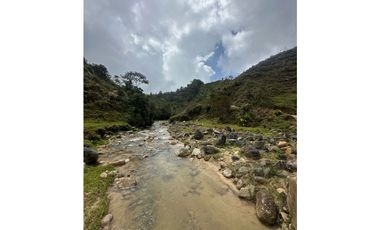 Se vende finca en Santo Domingo Antioquía