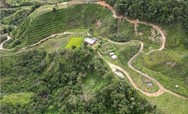 Se vende finca en Santo Domingo Antioquía