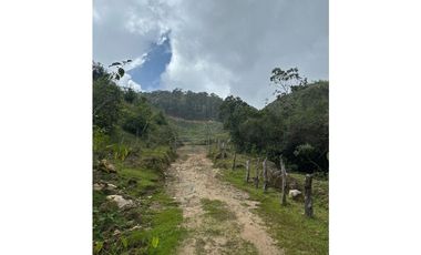 Se vende finca en Santo Domingo Antioquía