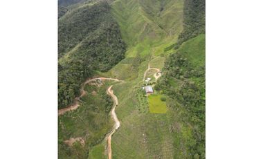 Se vende finca en Santo Domingo Antioquía