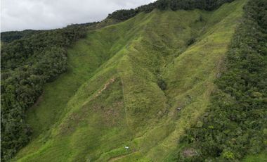 Se vende finca en Santo Domingo Antioquía