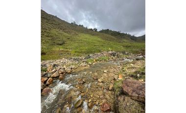 Se vende finca en Santo Domingo Antioquía