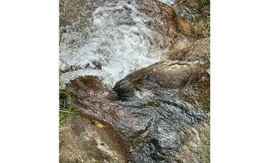 Se vende finca en Santo Domingo Antioquía