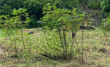 ALTOS DE PANAMA CONDADO DEL REY / ALTOS DE SANTA MARIA /  ALTO 542M