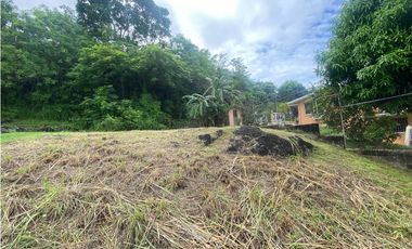 ALTOS DE PANAMA CONDADO DEL REY / ALTOS DE SANTA MARIA /  ALTO 542M