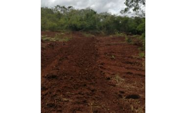 TERRENO / EL COCO / LA CHORRERA / POTRERO GRANDE 9,691M JC