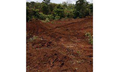 TERRENO / EL COCO / LA CHORRERA / POTRERO GRANDE 9,691M JC