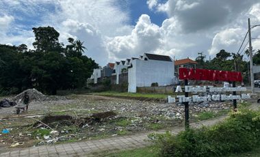 TANAH DARMASABA UBUD JALAN UTAMA LOS SUNGAI VIEW SAWAH DAN JUNGLE